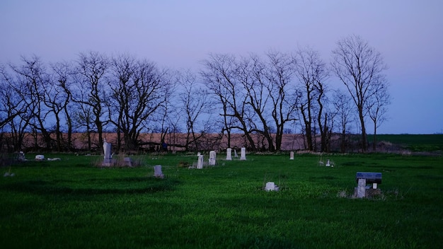 Foto vista do cemitério