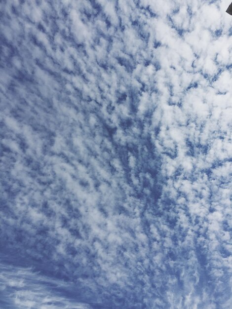 Foto vista do céu em baixo ângulo