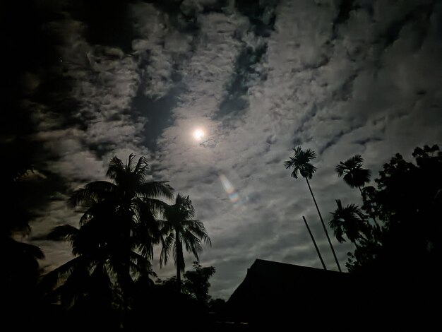 Vista do céu em pista de colina de dia