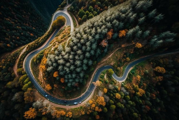 Vista do drone de uma estrada sinuosa cercada por árvores verdes exuberantes na IA generativa da floresta