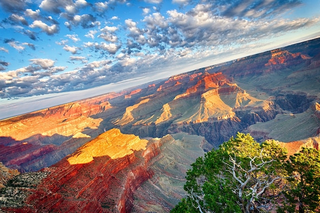 Vista do Grand Canyon ao amanhecer, EUA
