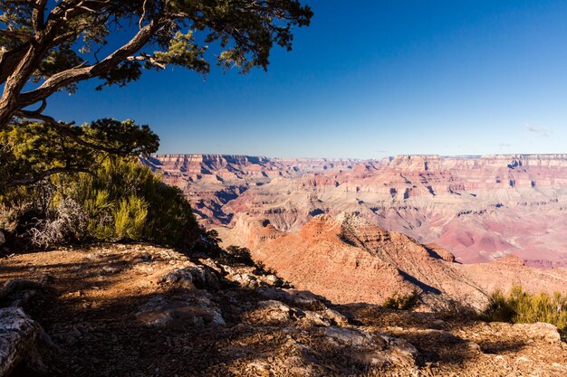 Vista do grand Canyon da margem sul no inverno.