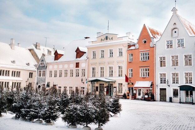 Vista do inverno da cidade velha de tallinn. cidade coberta de neve, perto do mar báltico. estônia.