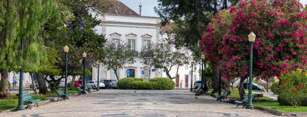 Vista do Jardim Manuel Bivar na cidade de Faro com arte em calçada portuguesa.