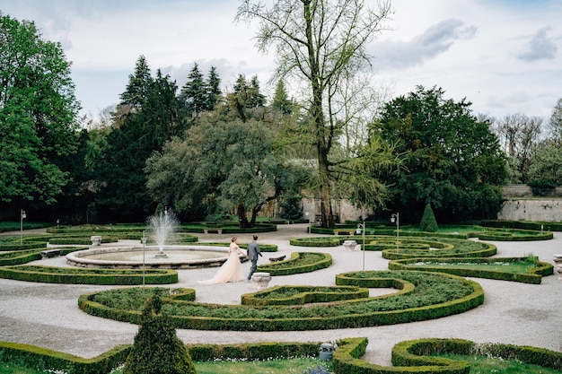 Foto vista do jardim no parque contra o céu