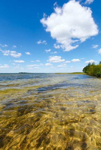 Vista do lago de verão