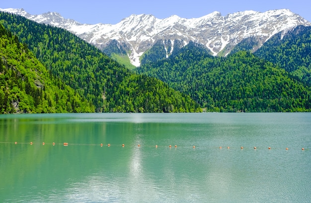 Vista do lago Ritsa (Riza) na Abkhazia na primavera, montanhas cobertas de neve