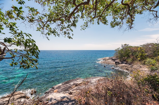 Vista do mar com árvore na colina e litoral na ilha de lipe