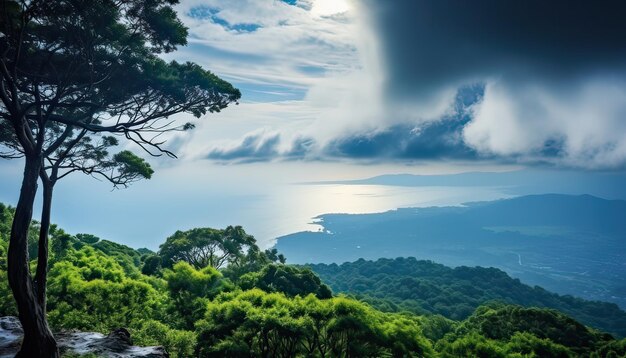 Foto vista do mar de nuvens do topo da montanha floresta tropical verde folhas caindo com o céu antes da tempestade chuva de alta qualidade imagem real resultado ar 74 job id f754c89470e748ada3e47abbbe87b86b