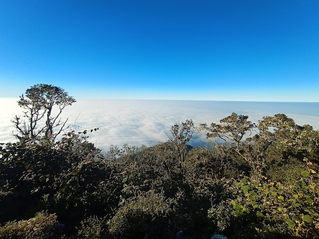 Vista do monte cikuray garut indonésia