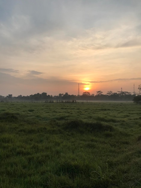 vista do nascer do sol da manhã com grama verde