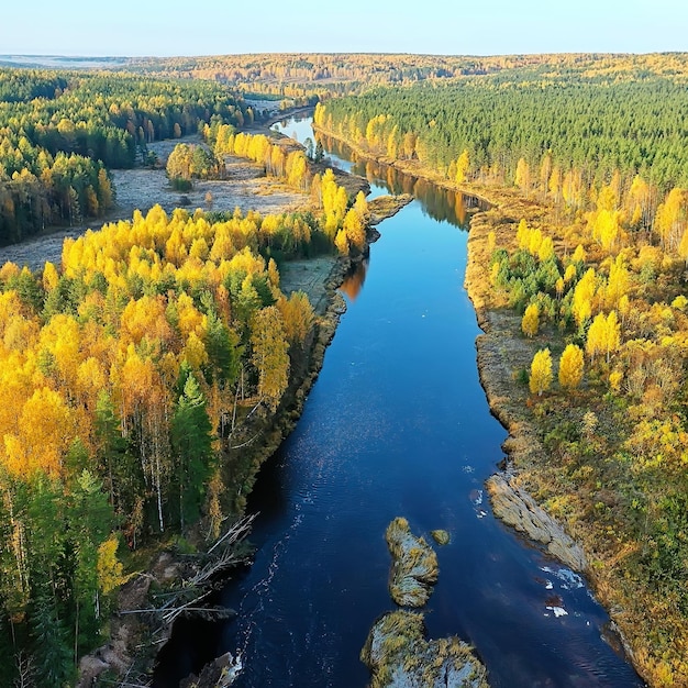 vista do outono do rio da floresta drone, vista aérea do panorama da paisagem