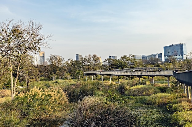 Vista do parque Benchakitti com lago e arranha-céus na cidade de Bangkok, Tailândia