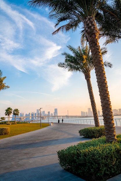 Vista do parque de abu dhabi, emirados árabes unidos. ruas mágicas de abu dhabi com edifícios altos de vidro sobre a baía.