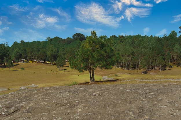 Vista do parque natural de Piedras Encimadas Puebla México ao fundo uma bela floresta muito verde