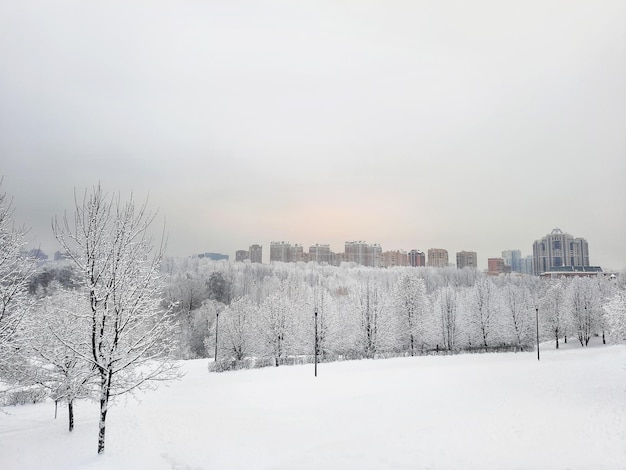 Vista do parque nevado de inverno com uma cidade ao longe