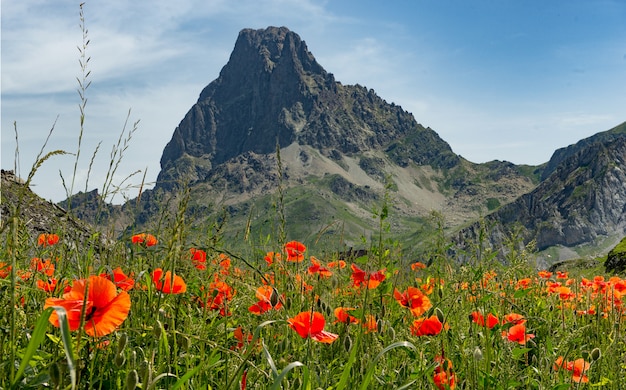 Foto vista do pic du midi d'ossau nos pirineus franceses com papoulas