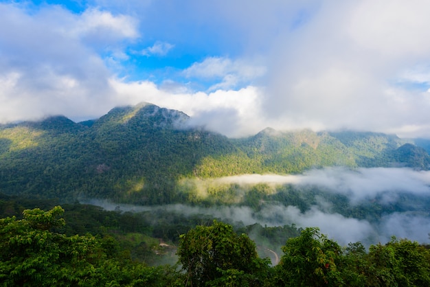 Vista do ponto de vista de Sui Thang na montanha de Angkhang