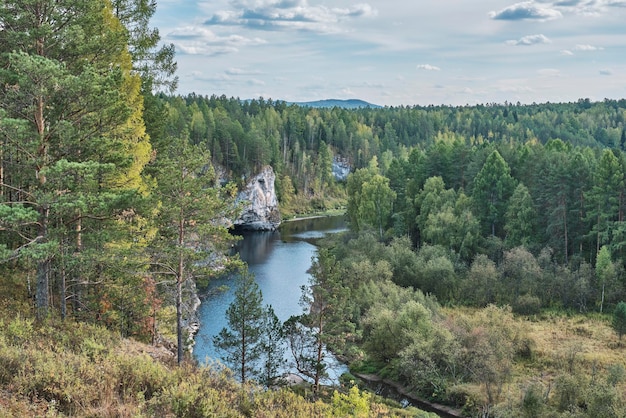 Vista do rio rochas floresta verão natureza paisagem parque natural cervos córregos rússia