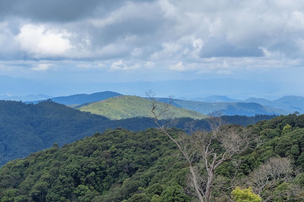 Vista do topo da montanha