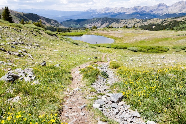 Vista do topo de cottonwood pass, colorado.