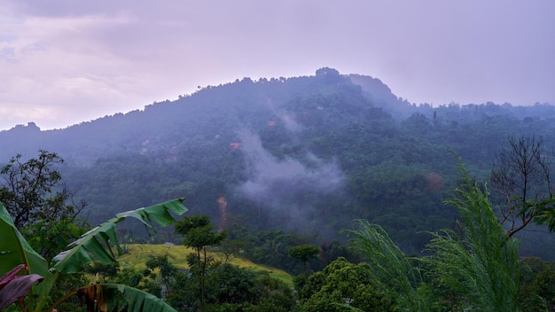 Vista do vale da montanha de neblina e nuvens, Bogor, Indonésia