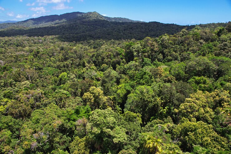 Foto vista do vale de kuranda, austrália