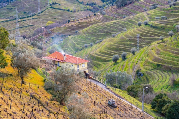 Foto vista do vale do douro com as vinhas dos campos em terraços e casas portugal