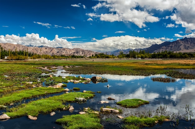 Vista do vale do indus em ladakh india