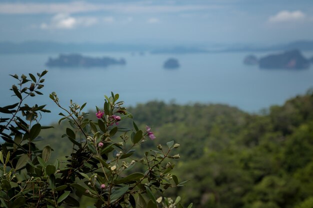 Vista do vale e das ilhas e montanhas do mar de Andaman do ponto de vista Krabi Tailândia