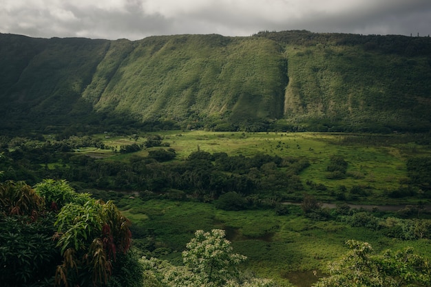 Foto vista do vale waipio na ilha grande, havaí