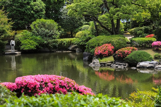 Vista dos Jardins Kyu Yasuda Teien com belo paisagismo em Tóquio, Japão