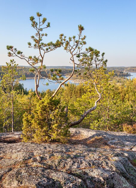 Foto vista dos skerries do lago ladoga karelia rússia