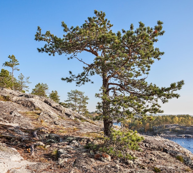 Foto vista dos skerries do lago ladoga karelia rússia