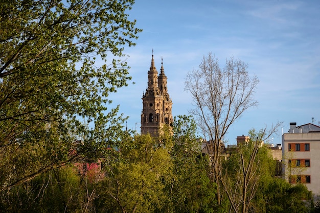 Foto vista de las dos torres de la catedral de logrono desde el parque