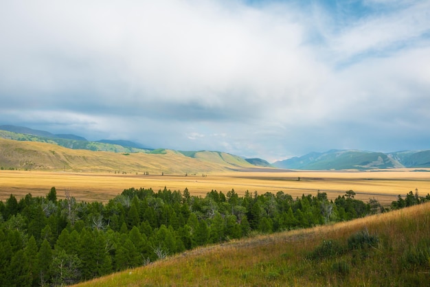 Vista dramática da floresta para a cordilheira alta na luz do sol durante a chuva em clima variável Paisagem colorida com floresta verde e estepe iluminada pelo sol contra grandes montanhas sob céu nublado na chuva