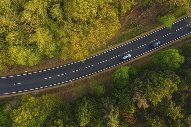 Vista de drones de automóviles que circulan por carreteras suburbanas en el bosque de verano de fondo