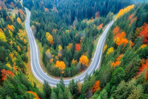 Vista de drones de una carretera de montaña en un bosque de otoño