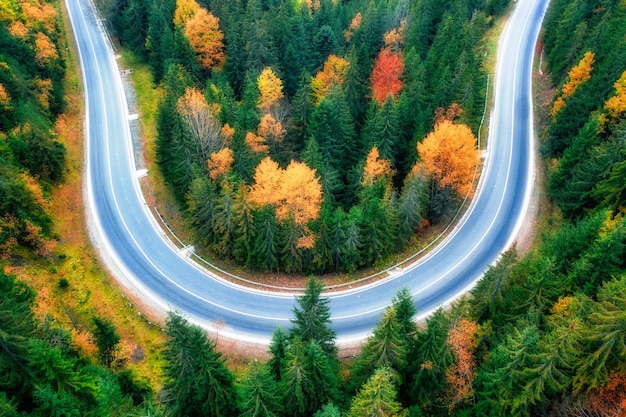 Vista de drones de una carretera de montaña en un bosque de otoño