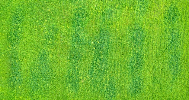 Vista de drones de césped verde amarillo fresco con manchas de color verde oscuro textura abstracta natural