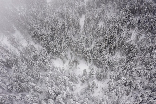 Vista de drones en la montaña en invierno