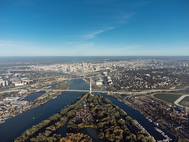 Foto vista de drones sobre el parque público abierto y los árboles verdes 4k