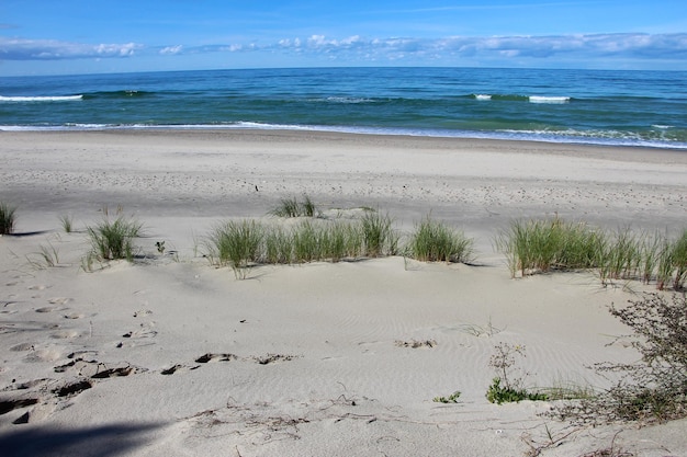 vista de una duna de arena con una franja de hierba, el Mar Báltico