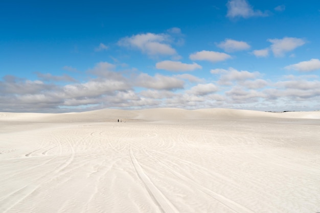 Vista de las dunas de arena de Lancelin en Australia Occidental Este lugar para surfear en la arena Famoso de familias disfrutando de la vista del paisaje