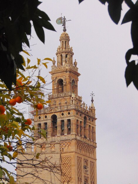 Foto vista de un edificio desde un ángulo bajo