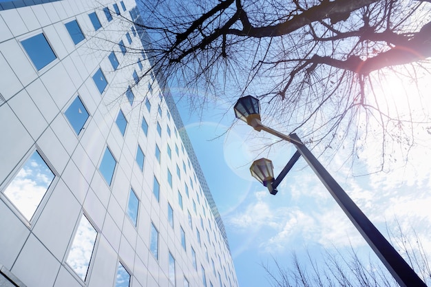 Vista del edificio de oficinas y la silueta del árbol y la lámpara de correos en el cielo azul