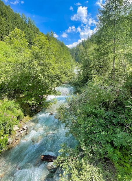 Vista elevada dos alpes na áustria no verão