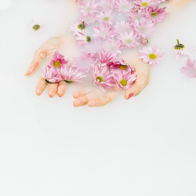 Vista elevada de la mano mojada de una mujer con flores rosadas en agua de baño