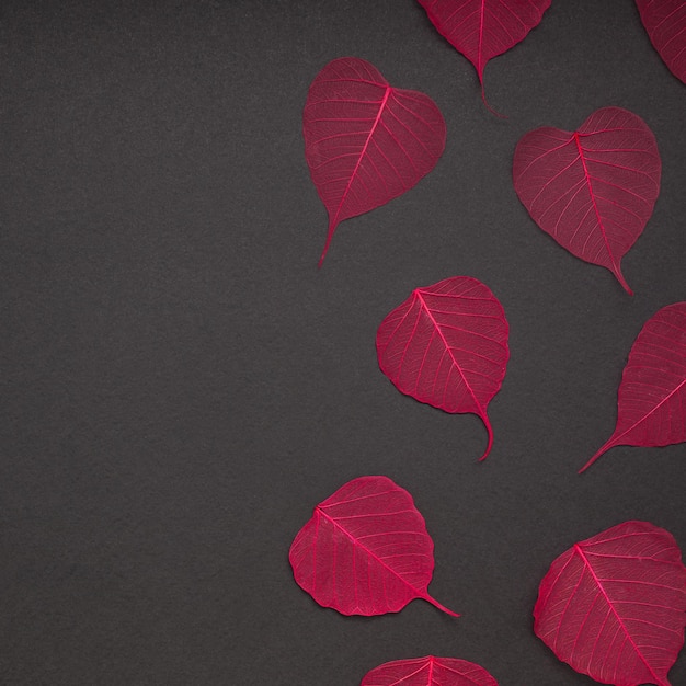 Foto vista em alto ângulo da forma de coração em folhas vermelhas