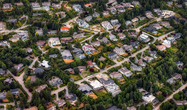 Foto vista em alto ângulo de árvores e edifícios na cidade